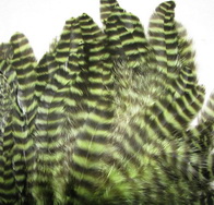 ������� ���� Hen feathers ������ ������ ��������� (insect green)